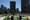 Dogs play on the roof deck of Amazon's downtown Seattle headquarters